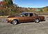 1979 Chevrolet Impala Sedan for sale 101027891